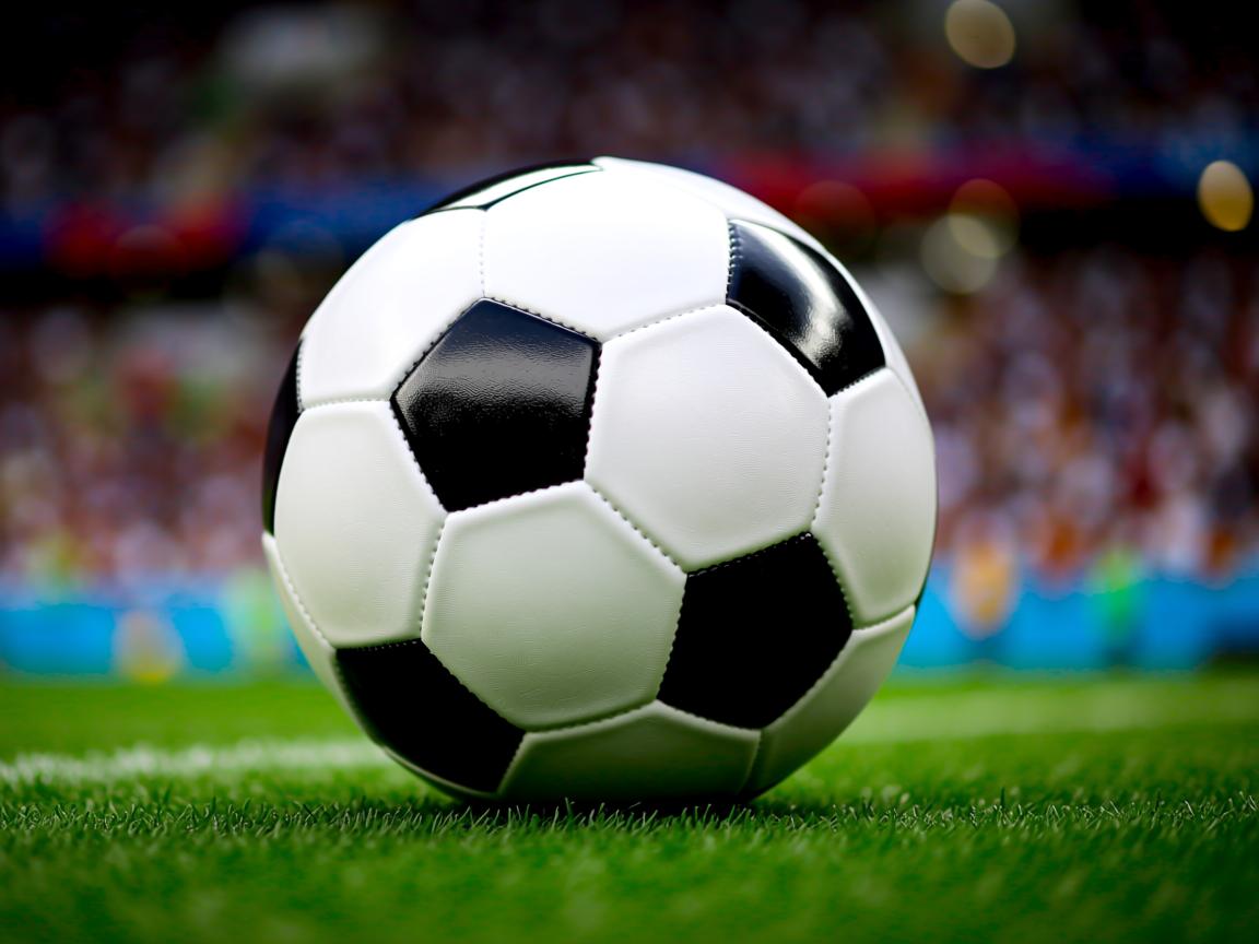 od体育网址-中国田径队奥运参赛名单正式确定，中国田径队在奥运会上拿过多少金牌  第3张