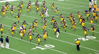 od体育官方平台入口-国家队教练团队协作存在的问题，教练员队伍建设  第2张