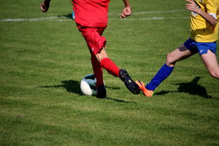 od体育在线-拳击国家队备战亚运 实施精英训练计划，拳击亚军奖杯照片